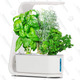 AeroGarden Sprout | $54 | Amazon